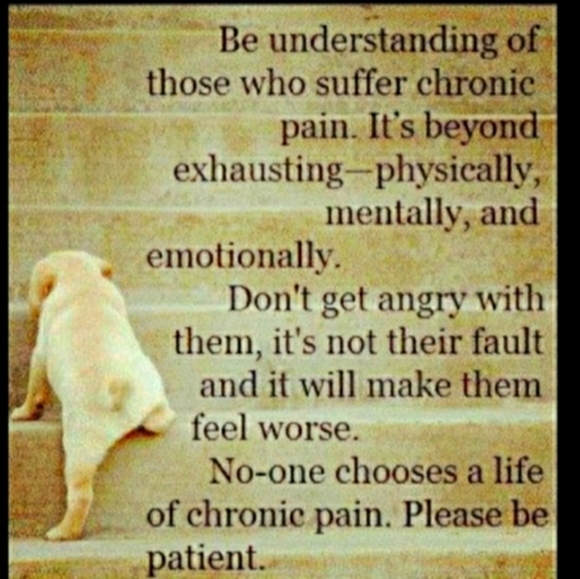 NWT Maidenform Beige Firm Control High Waist Shaping Brief - Picture 3 of 16